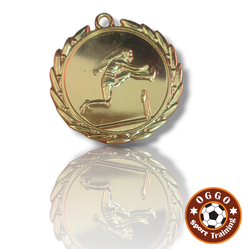 Inquiry for quotations for ordering medals for primary and secondary schools WhatsApp: 9489 8067